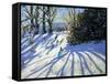Early Snow, Darley Park-Andrew Macara-Framed Stretched Canvas