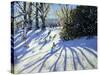 Early Snow, Darley Park-Andrew Macara-Stretched Canvas