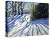 Early Snow, Darley Park-Andrew Macara-Stretched Canvas