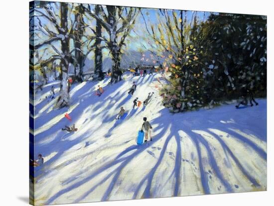 Early Snow, Darley Park-Andrew Macara-Stretched Canvas