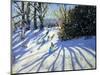 Early Snow, Darley Park-Andrew Macara-Mounted Premium Giclee Print