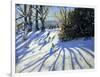 Early Snow, Darley Park-Andrew Macara-Framed Giclee Print