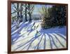 Early Snow, Darley Park-Andrew Macara-Framed Giclee Print