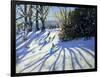 Early Snow, Darley Park-Andrew Macara-Framed Giclee Print