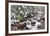 Early Snow in Avalanche Creek, Glacier National Park, Montana, USA-Chuck Haney-Framed Photographic Print