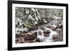 Early Snow in Avalanche Creek, Glacier National Park, Montana, USA-Chuck Haney-Framed Photographic Print