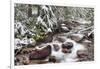 Early Snow in Avalanche Creek, Glacier National Park, Montana, USA-Chuck Haney-Framed Photographic Print