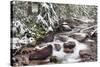 Early Snow in Avalanche Creek, Glacier National Park, Montana, USA-Chuck Haney-Stretched Canvas