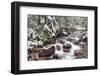 Early Snow in Avalanche Creek, Glacier National Park, Montana, USA-Chuck Haney-Framed Photographic Print