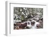 Early Snow in Avalanche Creek, Glacier National Park, Montana, USA-Chuck Haney-Framed Photographic Print