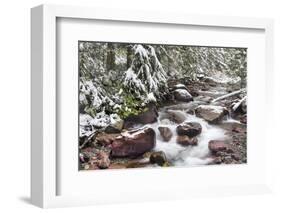 Early Snow in Avalanche Creek, Glacier National Park, Montana, USA-Chuck Haney-Framed Photographic Print