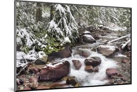 Early Snow in Avalanche Creek, Glacier National Park, Montana, USA-Chuck Haney-Mounted Photographic Print