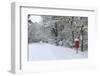 Early Snow on Country Road and Red Postbox, Black Heath, Surrey, UK, 2010-Mark Taylor-Framed Photographic Print