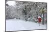 Early Snow on Country Road and Red Postbox, Black Heath, Surrey, UK, 2010-Mark Taylor-Mounted Photographic Print