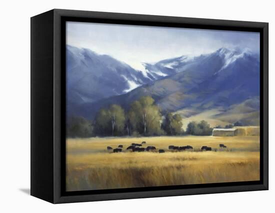 Early Snow-David Marty-Framed Stretched Canvas