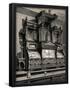 Essential Black