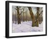 Early Spring, 1910-Konstantin Yakovlevich Kryzhitsky-Framed Giclee Print