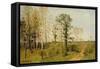 Early Spring at Weimar, 1876-Karl Buchholz-Framed Stretched Canvas