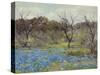 Early Spring Bluebonnets and Mesquite, 1919 (Oil on Wood)-Julian Onderdonk-Stretched Canvas