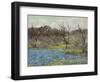 Early Spring Bluebonnets and Mesquite, 1919 (Oil on Wood)-Julian Onderdonk-Framed Giclee Print