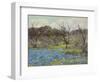 Early Spring Bluebonnets and Mesquite, 1919 (Oil on Wood)-Julian Onderdonk-Framed Giclee Print