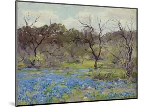 Early Spring Bluebonnets and Mesquite, 1919 (Oil on Wood)-Julian Onderdonk-Mounted Giclee Print