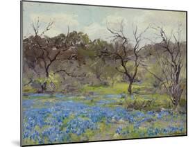 Early Spring Bluebonnets and Mesquite, 1919 (Oil on Wood)-Julian Onderdonk-Mounted Giclee Print