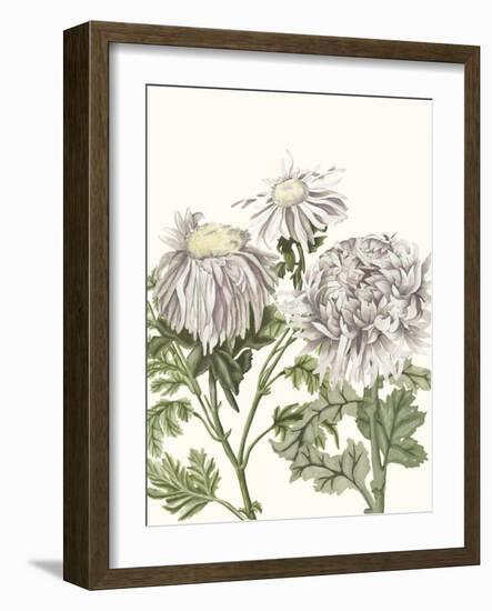 Early Spring Chrysanthemums I-Naomi McCavitt-Framed Art Print