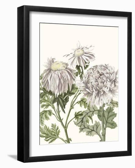 Early Spring Chrysanthemums I-Naomi McCavitt-Framed Art Print