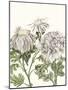 Early Spring Chrysanthemums I-Naomi McCavitt-Mounted Art Print