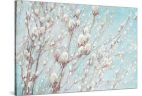 Early Spring Crop-Julia Purinton-Stretched Canvas