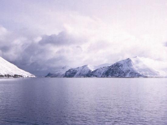 Photo, , large