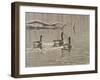 Early Spring Geese Trio-Bruce Dumas-Framed Giclee Print