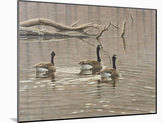 Early Spring Geese Trio-Bruce Dumas-Mounted Giclee Print