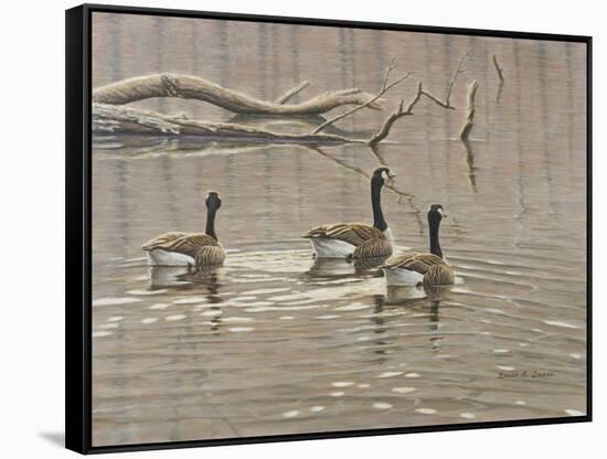 Early Spring Geese Trio-Bruce Dumas-Framed Stretched Canvas