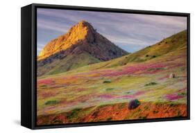 Early Spring Hills at Kern County-null-Framed Stretched Canvas