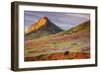 Early Spring Hills at Kern County-null-Framed Photographic Print