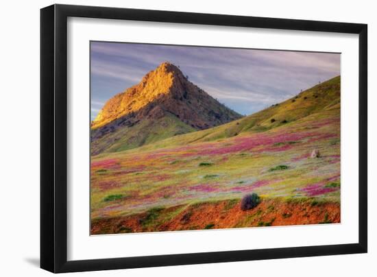 Early Spring Hills at Kern County-null-Framed Photographic Print