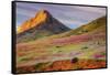 Early Spring Hills at Kern County-null-Framed Stretched Canvas