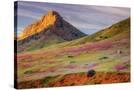 Stretched Canvas