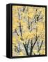 Early Spring I-Helena Alves-Framed Stretched Canvas