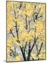 Early Spring I-Helena Alves-Mounted Art Print