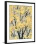 Early Spring I-Helena Alves-Framed Art Print