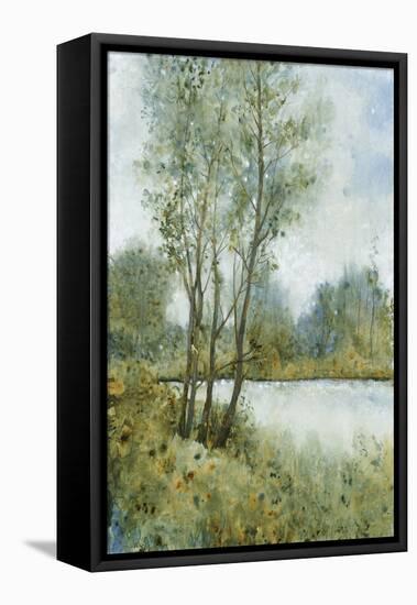 Early Spring II-null-Framed Stretched Canvas