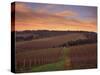 Early Spring over Knutsen Vineyards in Red Hills above Dundee, Oregon, USA-Janis Miglavs-Stretched Canvas