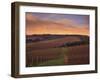 Early Spring over Knutsen Vineyards in Red Hills above Dundee, Oregon, USA-Janis Miglavs-Framed Premium Photographic Print