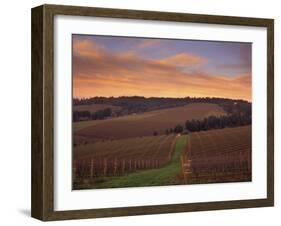 Early Spring over Knutsen Vineyards in Red Hills above Dundee, Oregon, USA-Janis Miglavs-Framed Premium Photographic Print