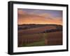 Early Spring over Knutsen Vineyards in Red Hills above Dundee, Oregon, USA-Janis Miglavs-Framed Premium Photographic Print