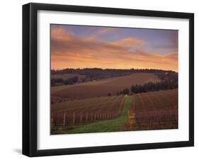 Early Spring over Knutsen Vineyards in Red Hills above Dundee, Oregon, USA-Janis Miglavs-Framed Premium Photographic Print