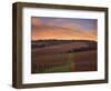 Early Spring over Knutsen Vineyards in Red Hills above Dundee, Oregon, USA-Janis Miglavs-Framed Photographic Print